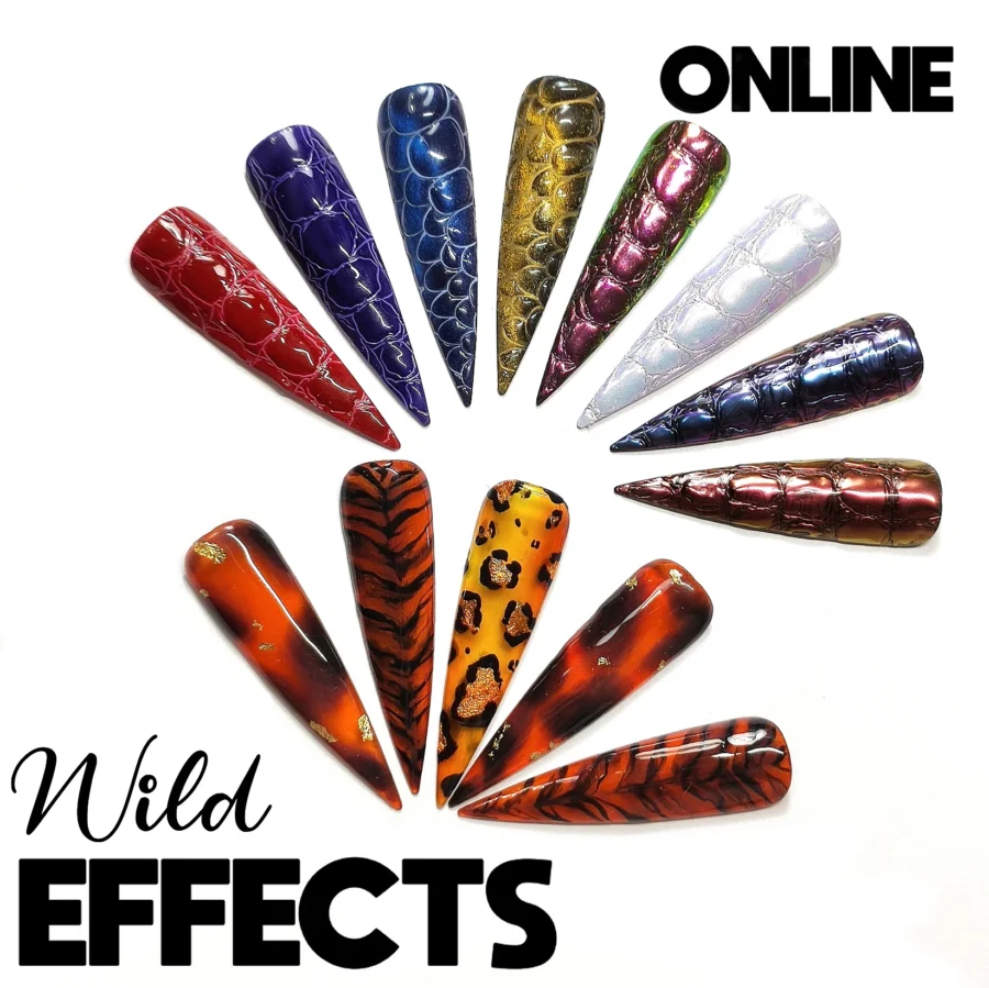 Curso Online Wild Effects 1
